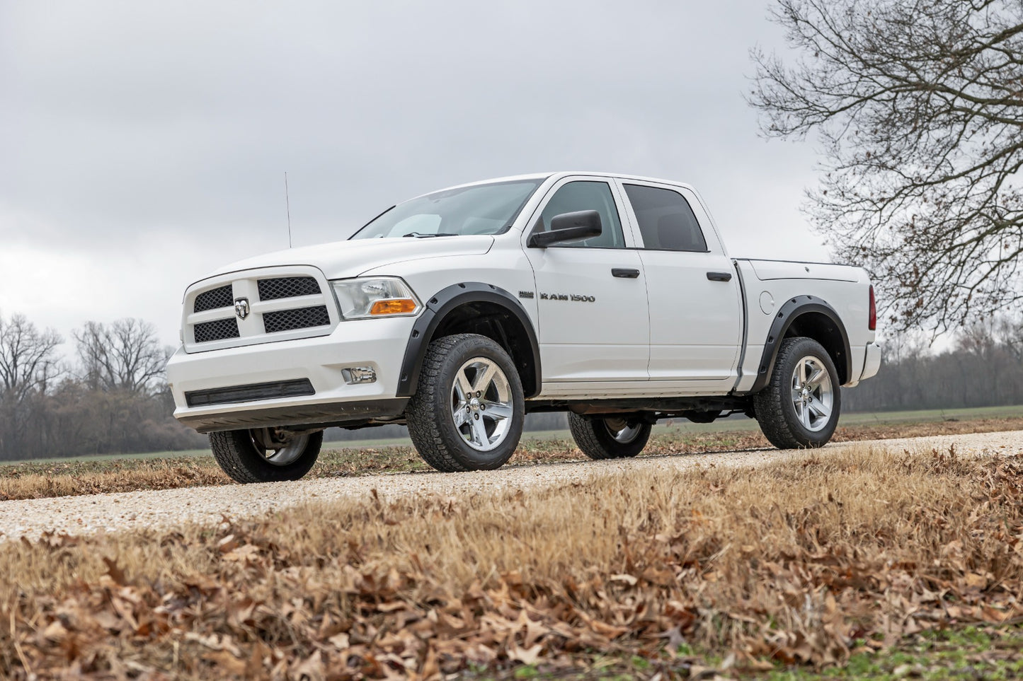 Pocket Fender Flares | Both Bumpers | PS2 Bright Silver Metallic | Ram 1500 2WD/4WD
