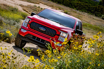 Photo - lifestyle view