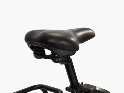 Ambition Fat Tire Elite Step-Thru eBike (F27e)