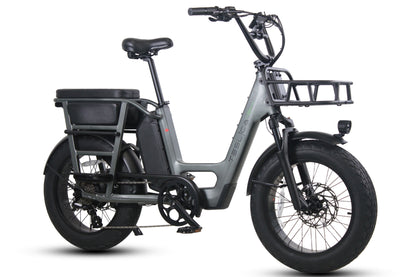 Care-Go Cargo eBike (CG2)