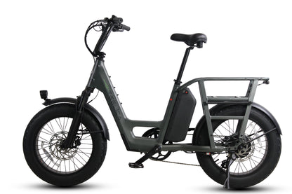 Care-Go Cargo eBike (CG2)