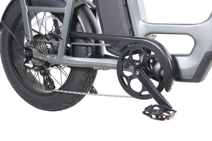 Care-Go Cargo eBike (CG2)