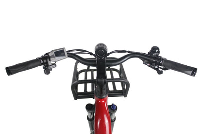 Freedom City Elite eBike (C3H)
